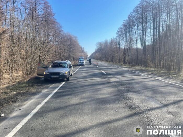 Косуля стала причиною смертельної ДТП у Ніжинському районі