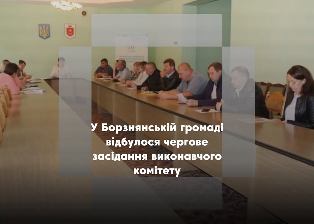У Борзні змінять схеми руху на п&rsquo;яти вулицях: виконком Борзнянської міської ради розглянув 30 питань життєдіяльності громади