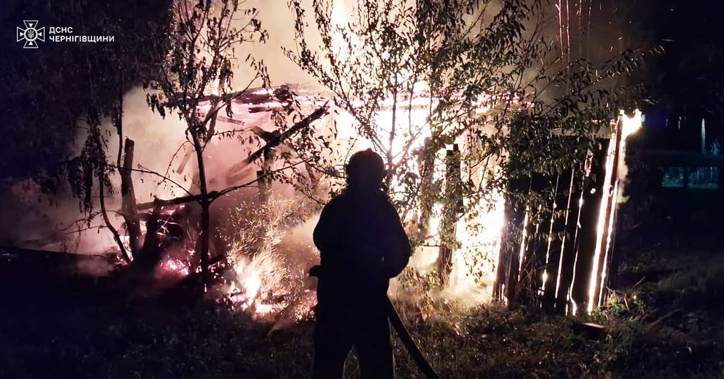 Нічна атака дронів на Борзнянську громаду