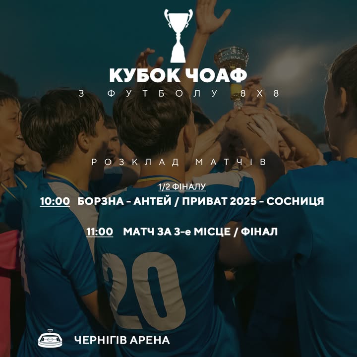 ФК &laquo;Борзна&raquo; у фіналі Кубку Чернігівщини з футболу 8х8