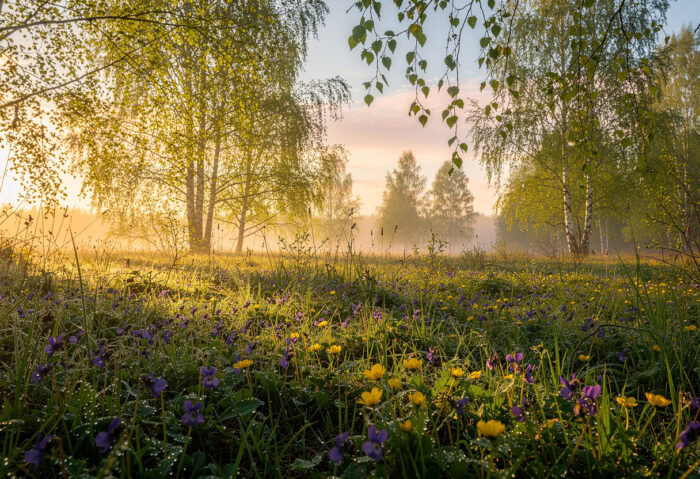 Погода у Борзні на 15.03.2026