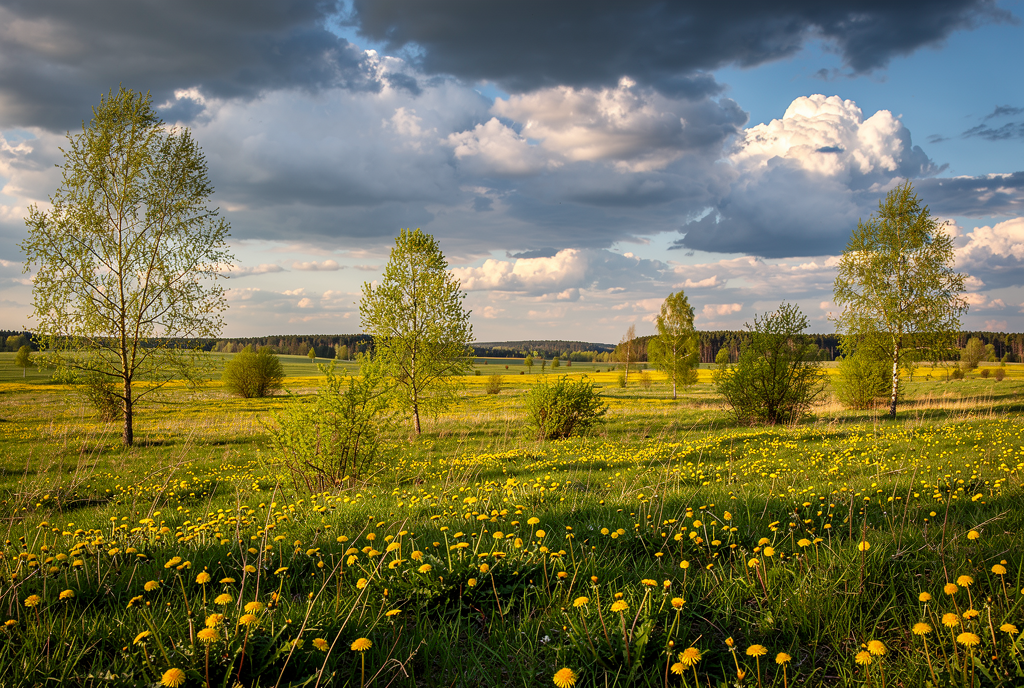 Погода у Борзні на 07.04.2026