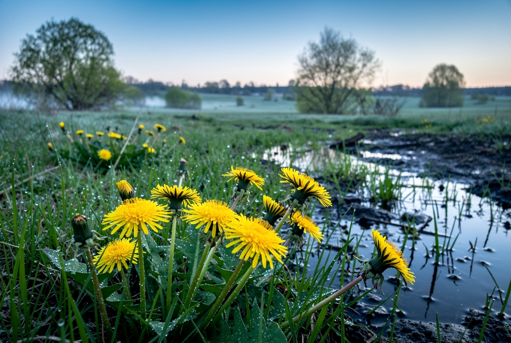 Погода у Борзні на 14.04.2026