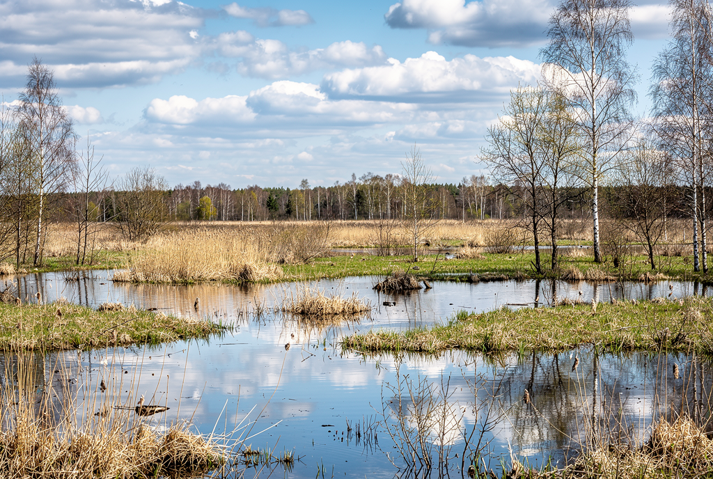 Погода у Борзні на 23.04.2026