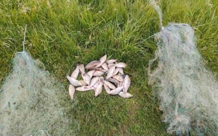 Жителя Борзни затримали за браконьєрство поблизу Адамівки