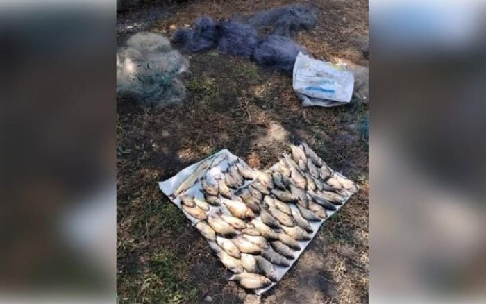 Поліція та рибоохорона викрили браконьєра на річці Борзна в Кинашівці