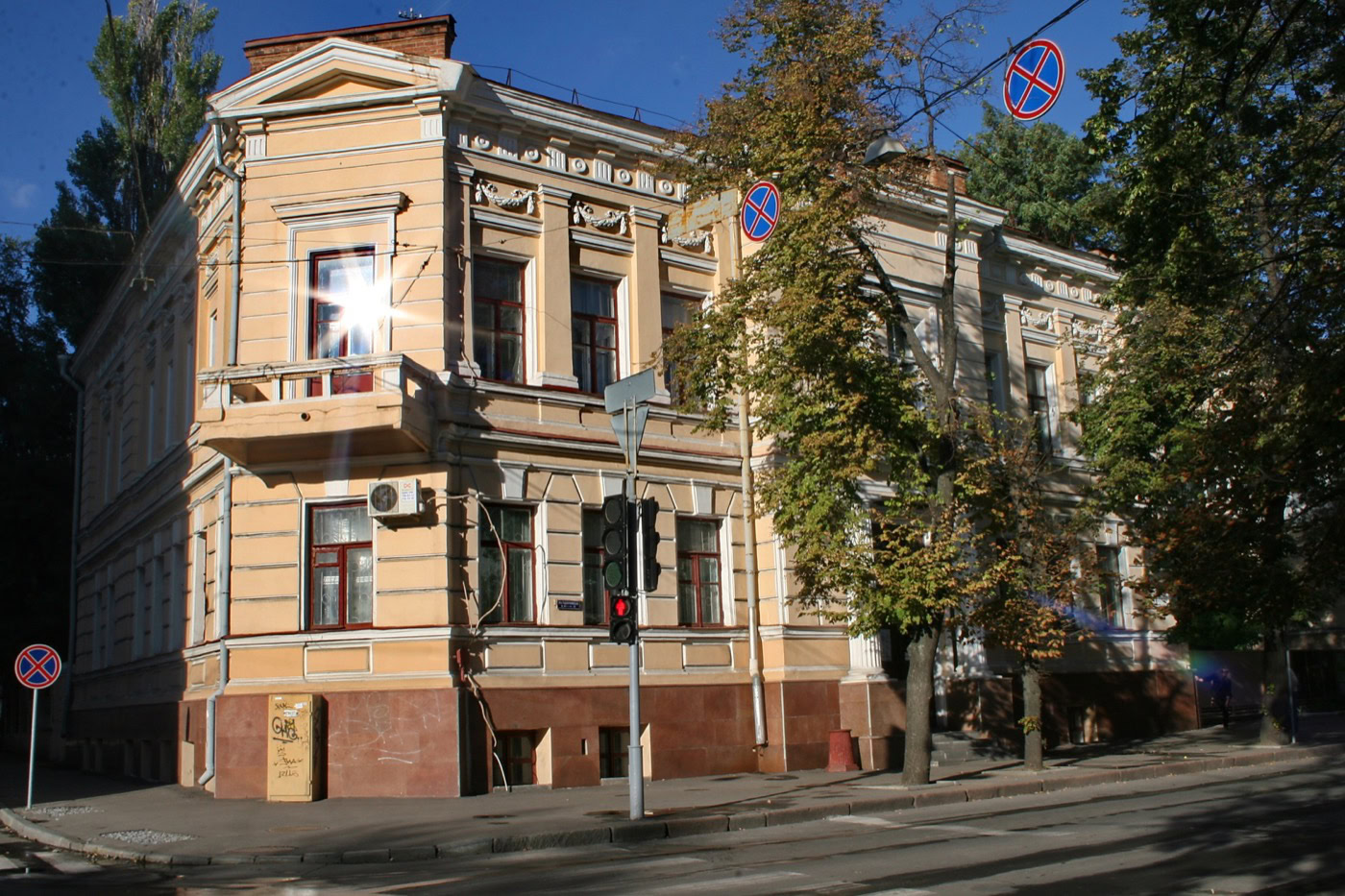 Жінка, яка підписалася «Українкою» раніше за всіх. Історія борзнянки Христини Алчевської