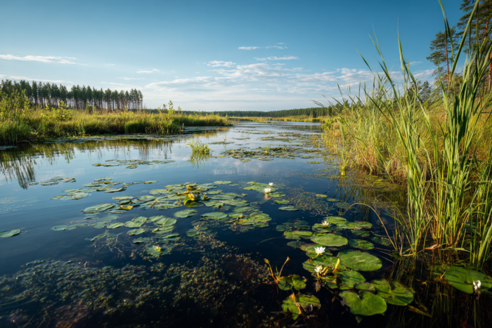 Погода у Борзні на 09.07.2026