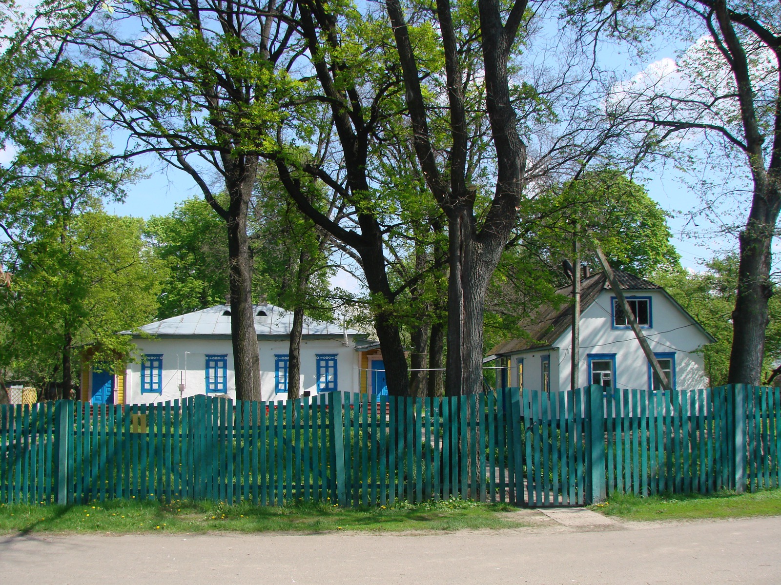 Солома, яка блищала у божниці: борзнянська історія Олександра Саєнка
